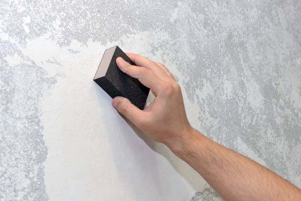 Best Attic Mold Removal  in Virginia, IL
