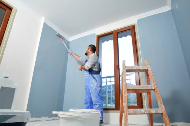 Best Black Mold Removal  in Virginia, IL