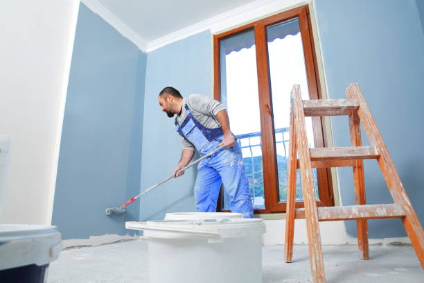 Best Mold Odor Removal Services  in Virginia, IL