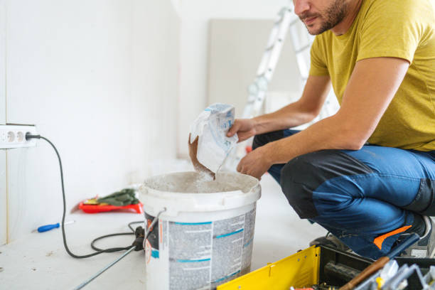 Best Mold-Related Health Consultation  in Virginia, IL