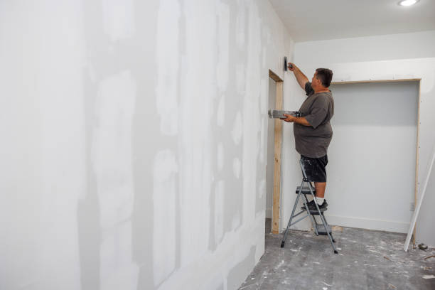 Best Comprehensive Air Testing for Mold Contaminants  in Virginia, IL