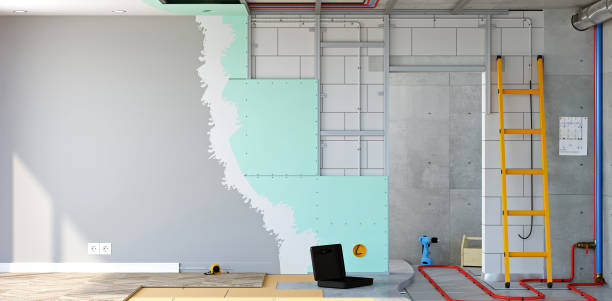 Mold Documentation for Insurance Claims in Virginia, IL