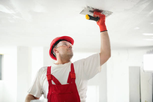 Best Attic Mold Removal  in Virginia, IL
