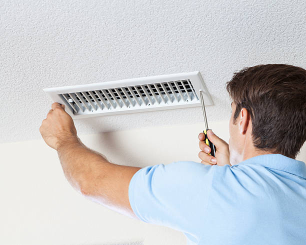 Best Emergency Mold Remediation  in Virginia, IL