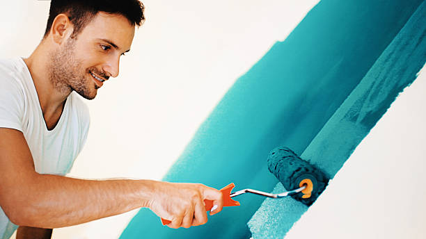 Trusted Virginia, IL Mold Removal Experts