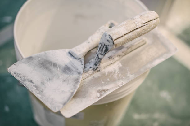 Best Crawl Space Mold Remediation  in Virginia, IL