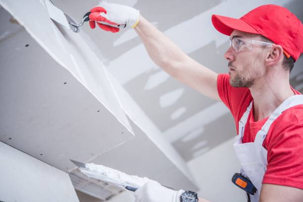 Best Water Damage & Mold Remediation  in Virginia, IL