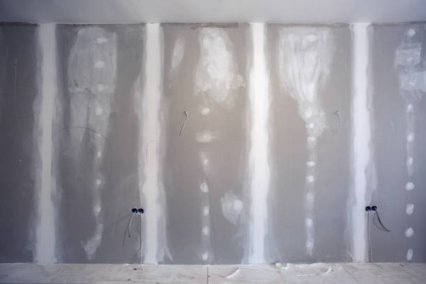 Mold Removal for HVAC Installations in Virginia, IL