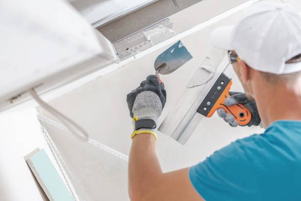 Best Mold Prevention Services  in Virginia, IL